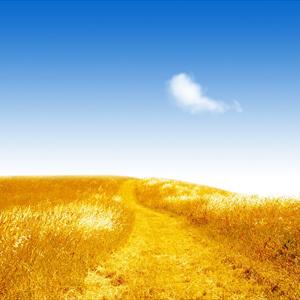 The Relativity Trading System - New Approval Of The .9999 Fine Gold Coin